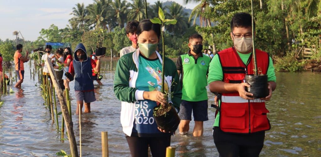 A group of people from the Pintakasi Hub planting mangrove trees.
