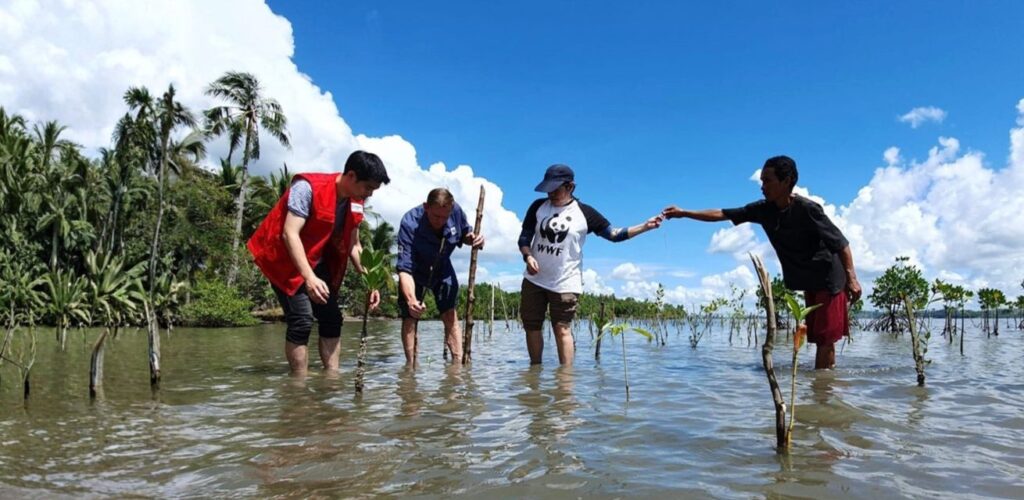 WWF Red Cross
