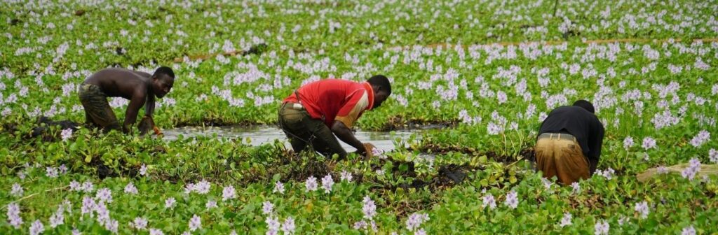 Dagloners werken op het land in Nigeria