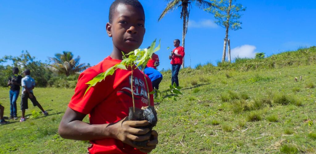 Jongen in Haïti houdt beplanting vast in project Rode Kruis