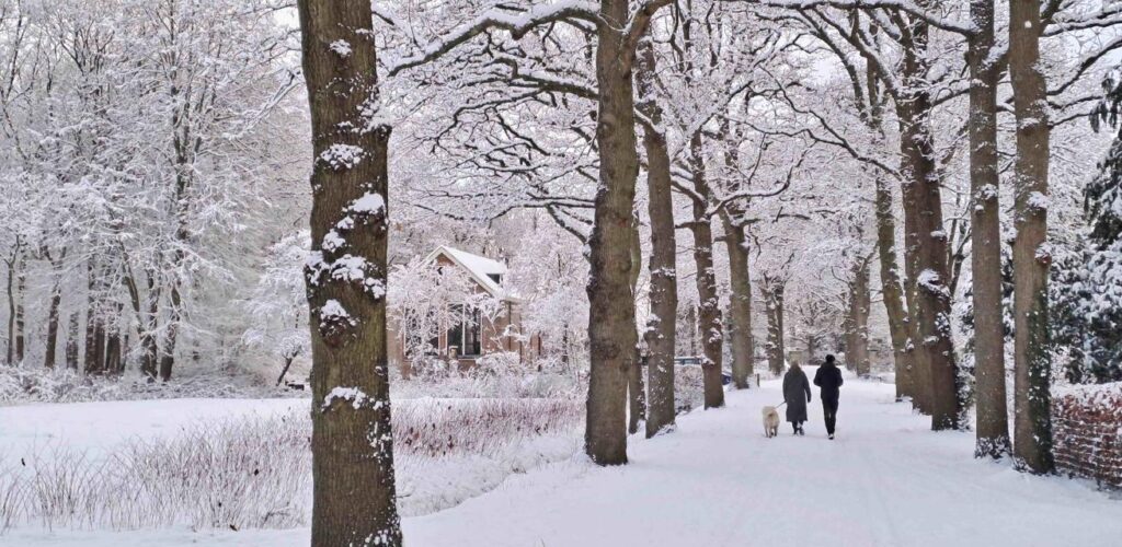 Winter tips voor gladheid en onderkoeling van het Rode Kruis.