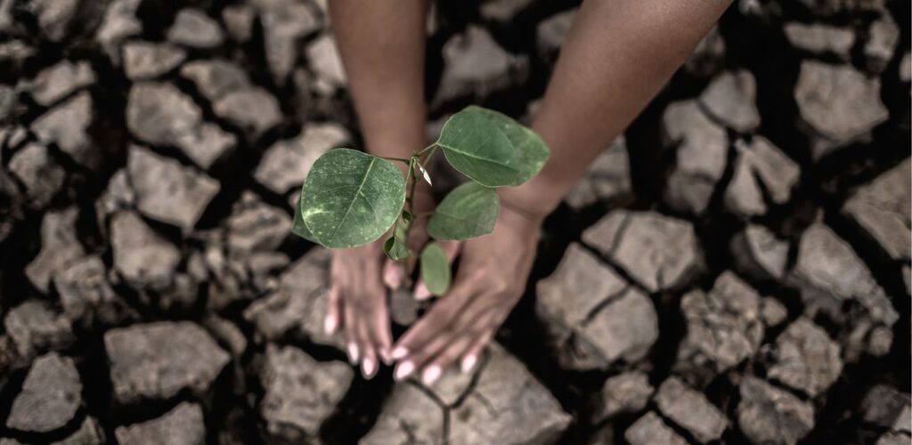 klimaatverandering oplossingen voor het bedrijfsleven