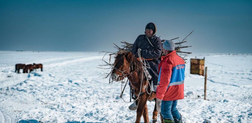 Het Rode Kruis helpt veehouders om hun dieren te beschermen tegen de extreme winter.