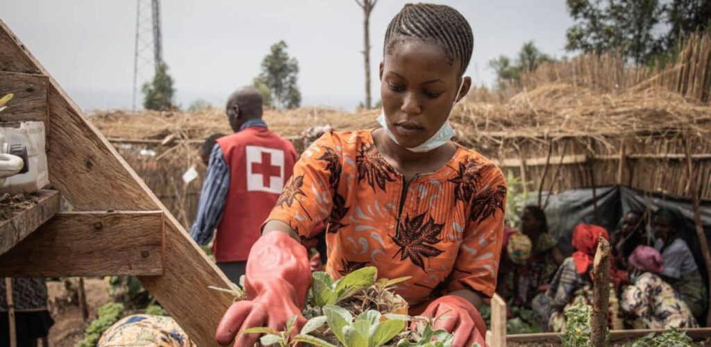 Rode Kruis hulpverlening