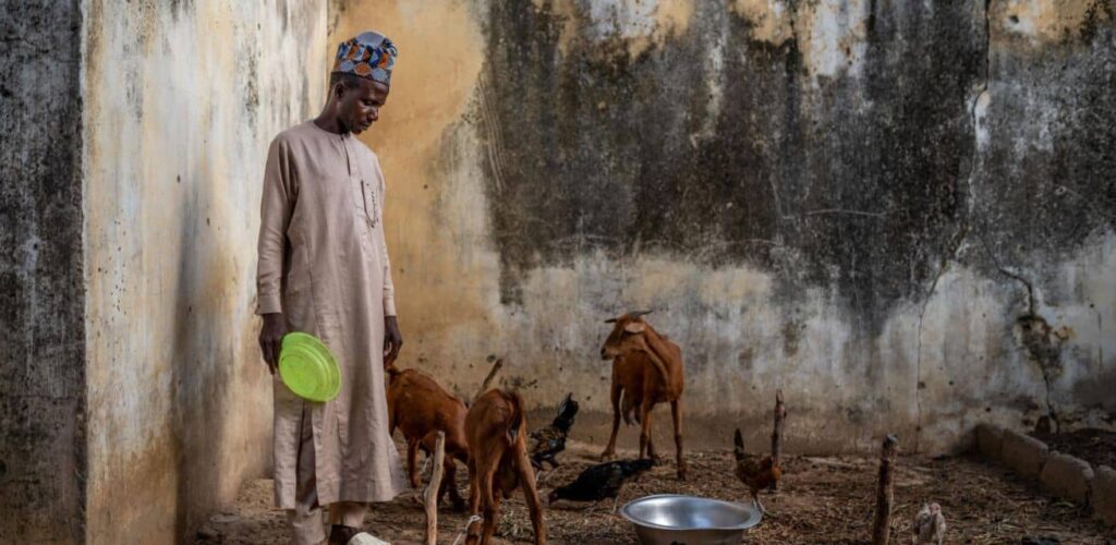 Een boer in Nigeria met zijn vee