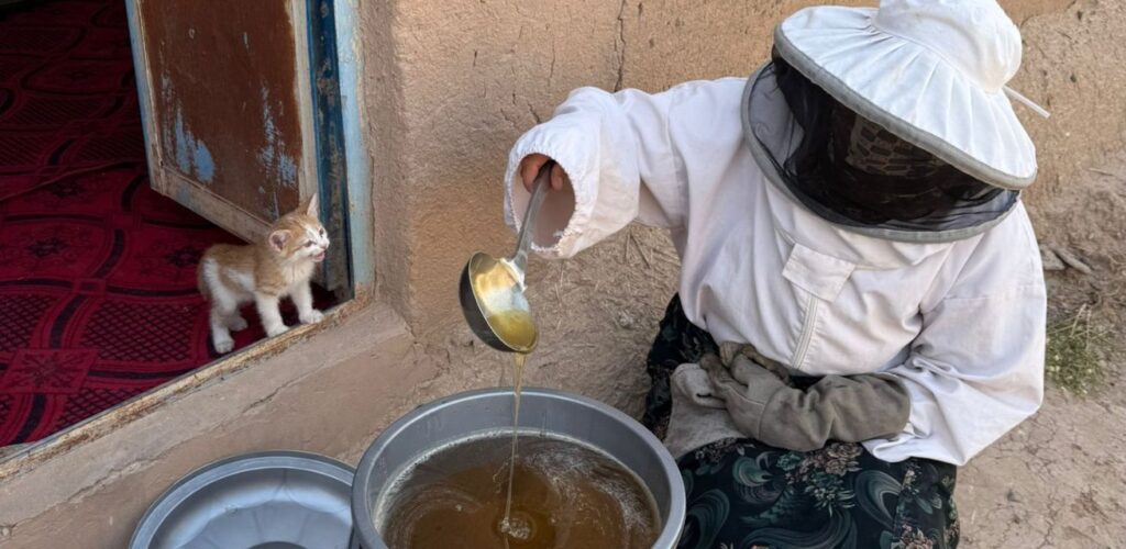 Afghanistan hulp verlenen