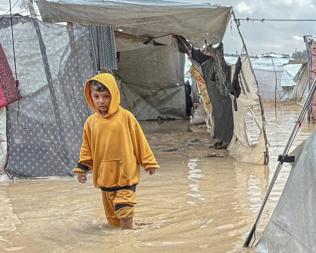 Winter in Deir al-Balah, Gaza December 2025 Ahmed Al Waheidi ICRC Rode Kruis home
