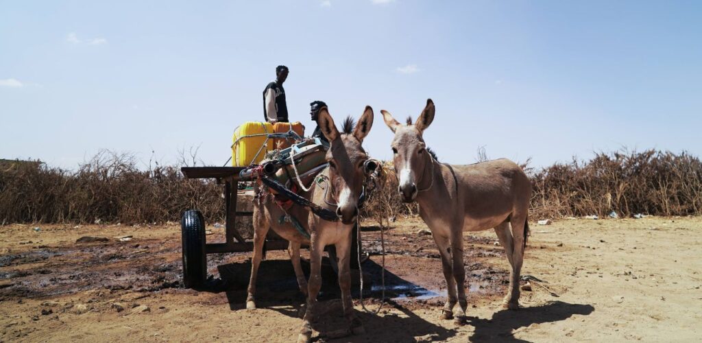 Rode Kruis project in Ethiopie solarization water