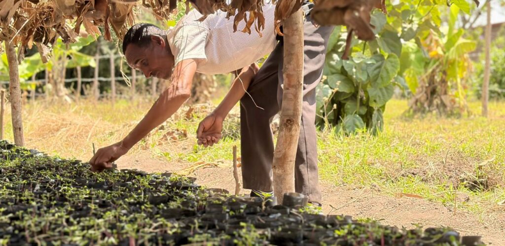 Ethiopië klimaat